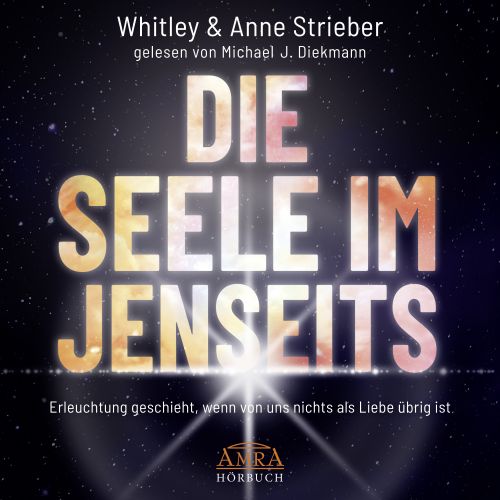 DIE SEELE IM JENSEITS [ungek&uuml;rzte Lesung - der Bestseller aus den USA; empfohlen von Pavlina Klemm; nur als Download!]