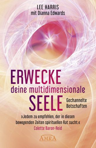 ERWECKE DEINE MULTIDIMENSIONALE SEELE [Botschaften aus der 9. Dimension; empfohlen von Pavlina Klemm]